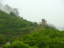 Rhone 203